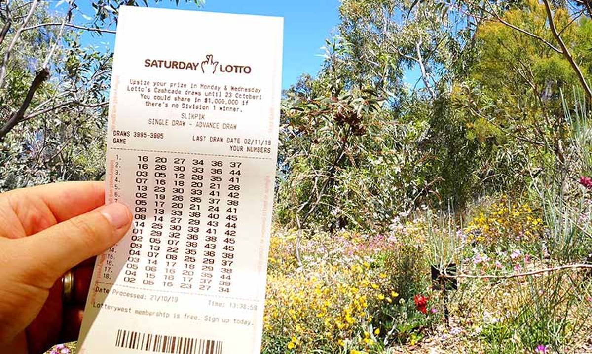 lotterywest sat lotto results