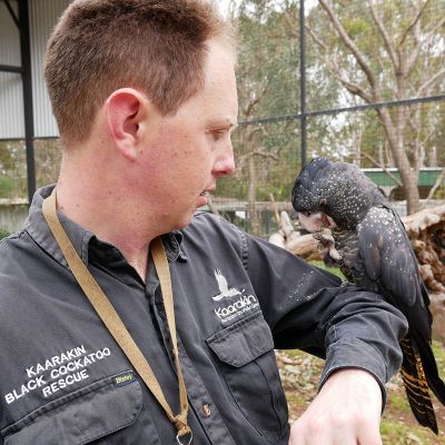 Lotterywest grants protect native cockatoos