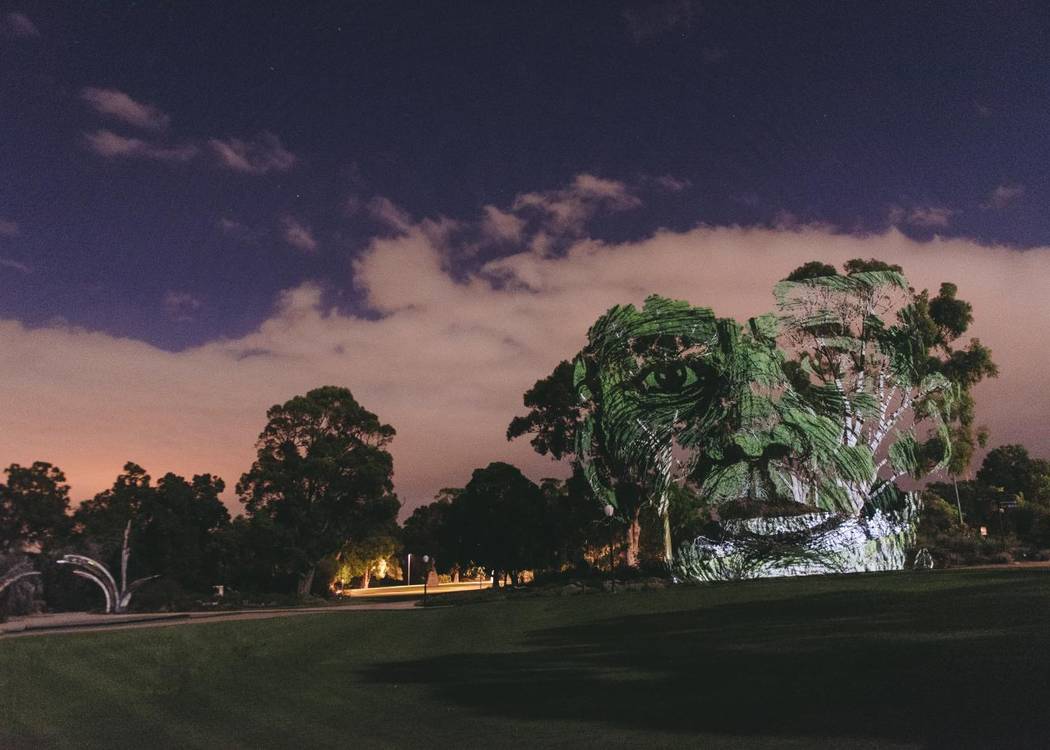 Perth International Arts Festival — Lotterywest